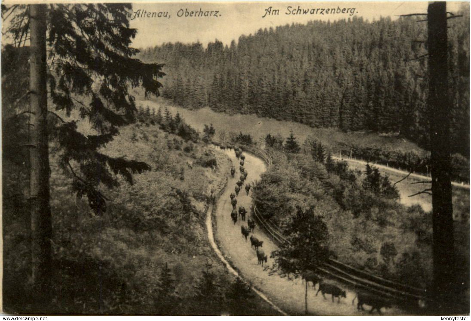 Altenau, Oberharz, Am Schwarzenberg