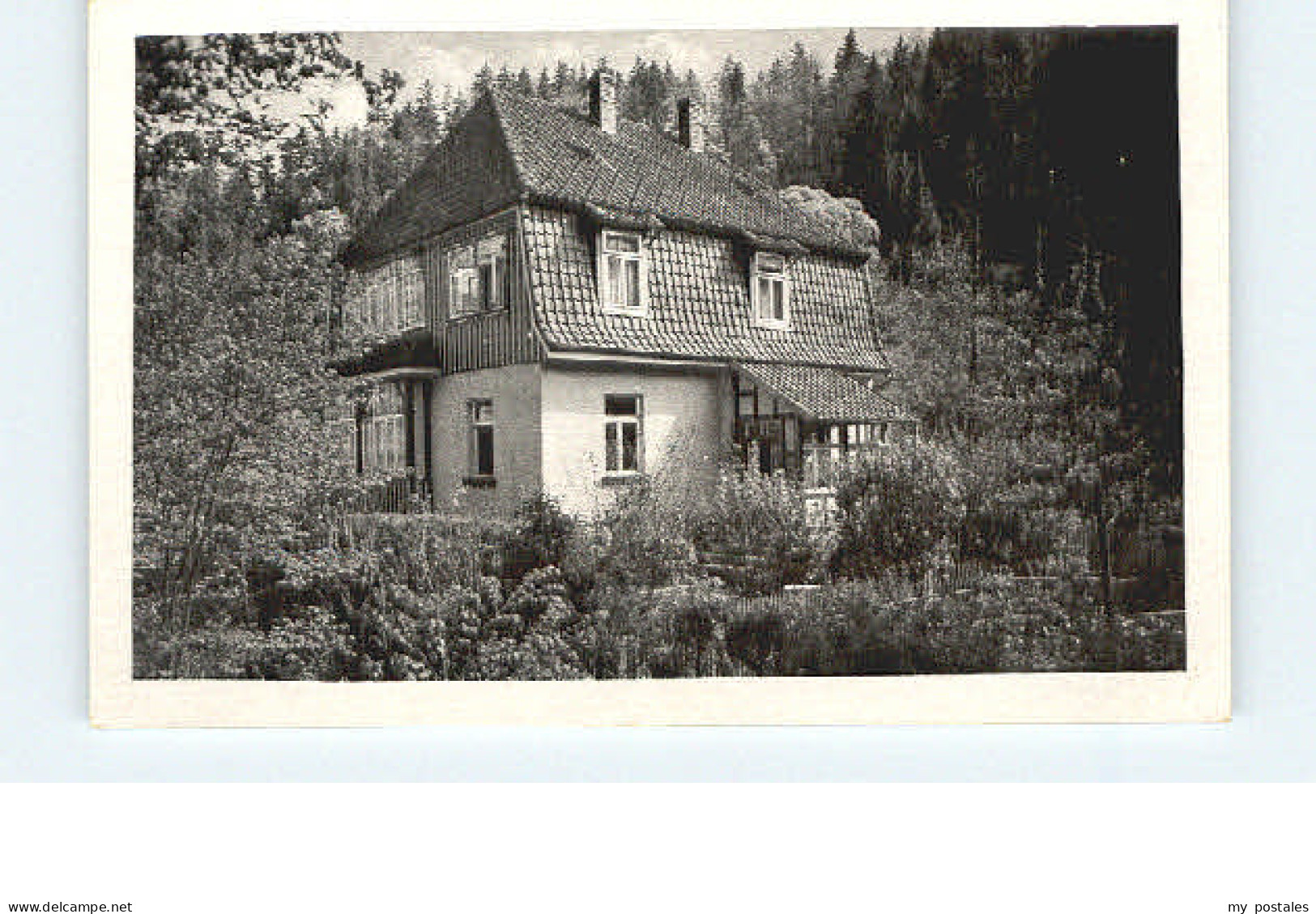 Altenbrak Harz Altenbrak Villa Heidecke