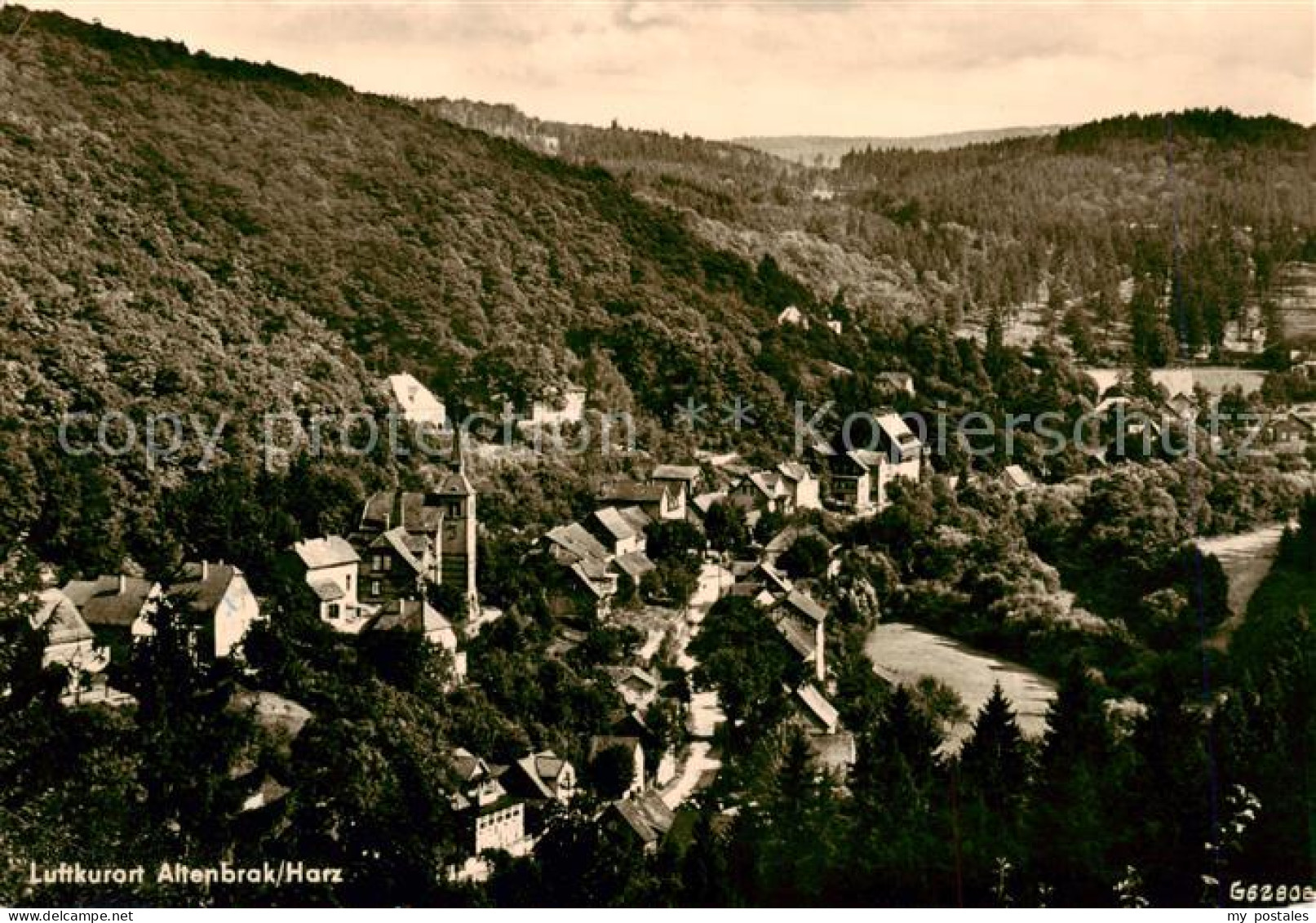 Altenbrak Harz Panorama