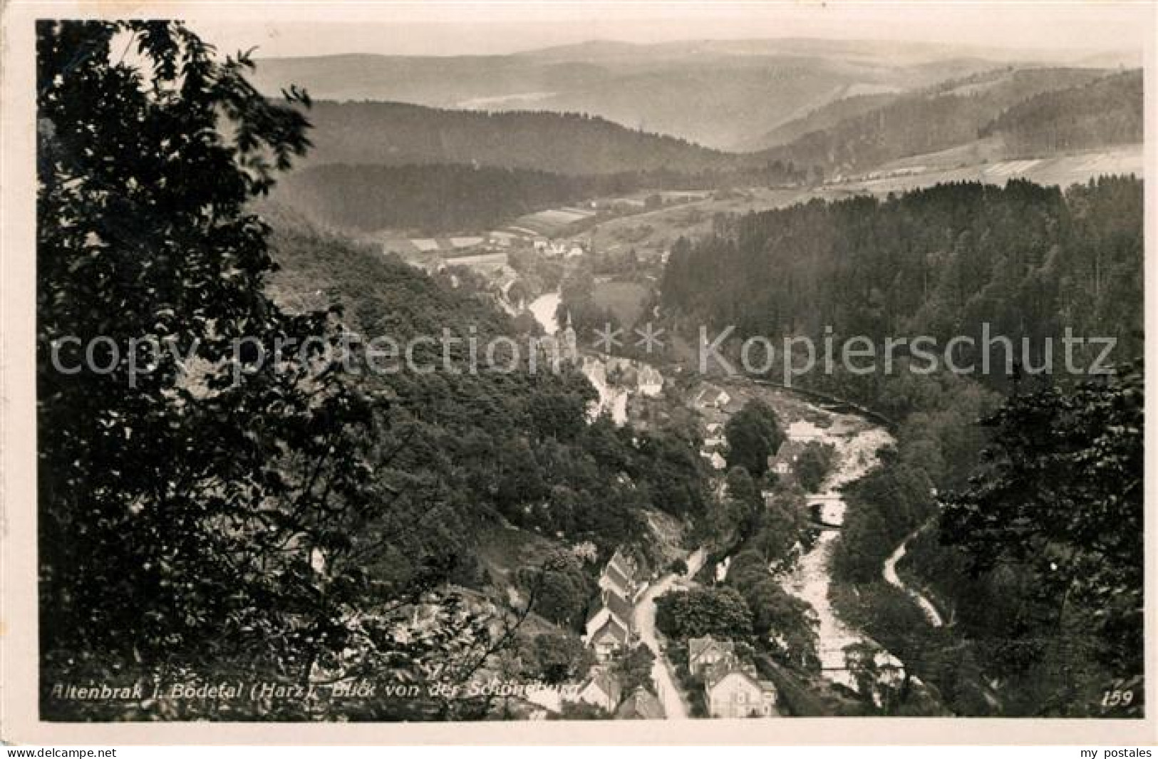 Altenbrak Harz Panorama