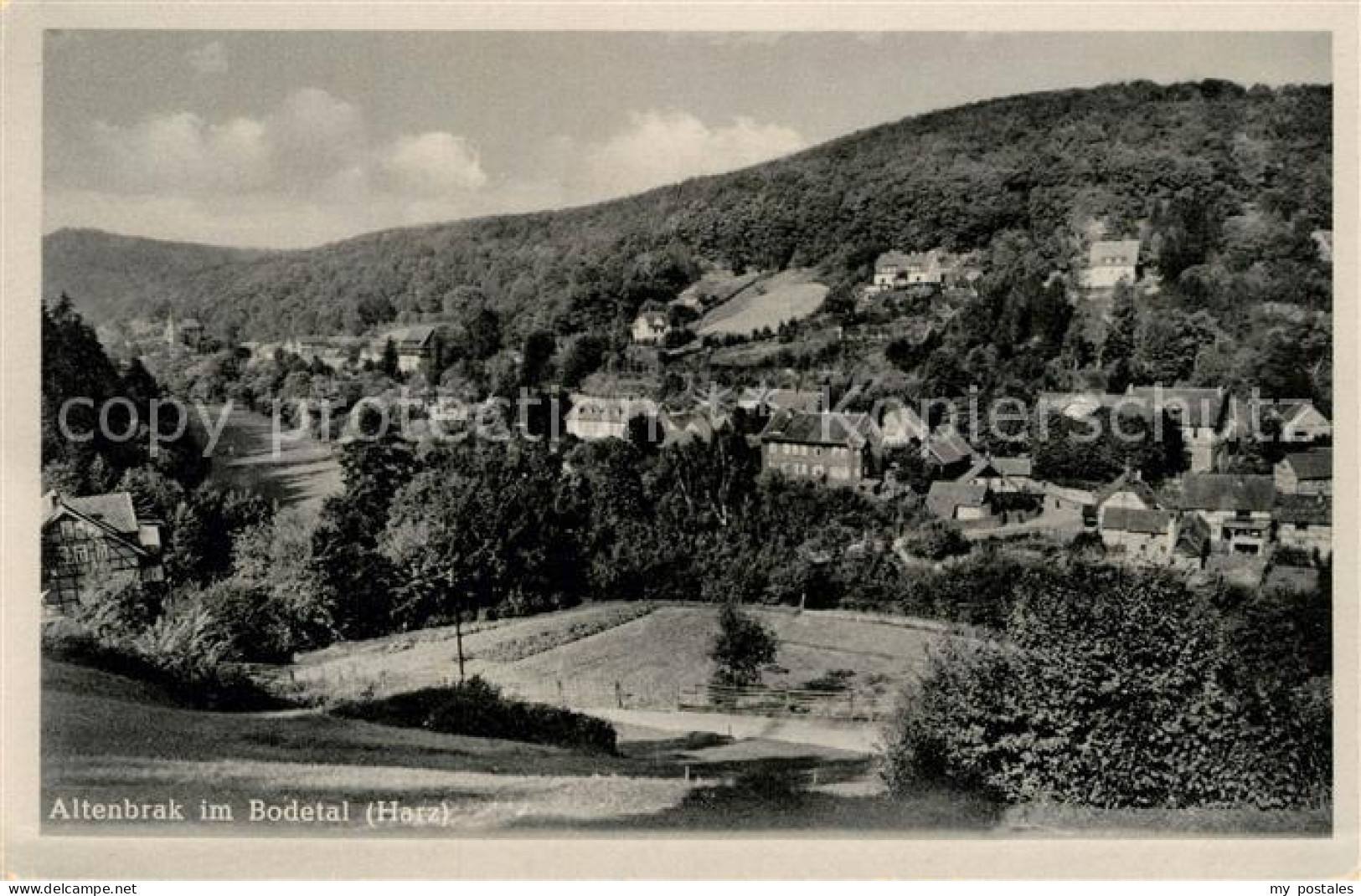 Altenbrak Harz Panorama Bodetal