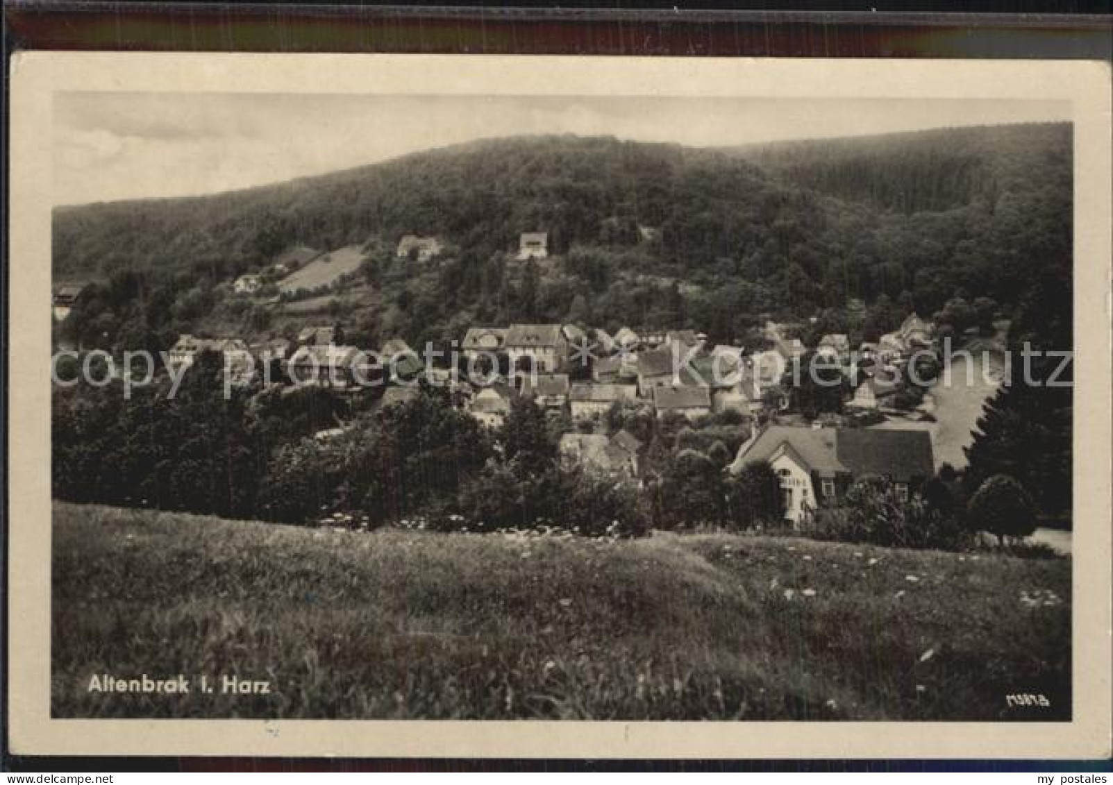 Altenbrak Harz Teilansicht