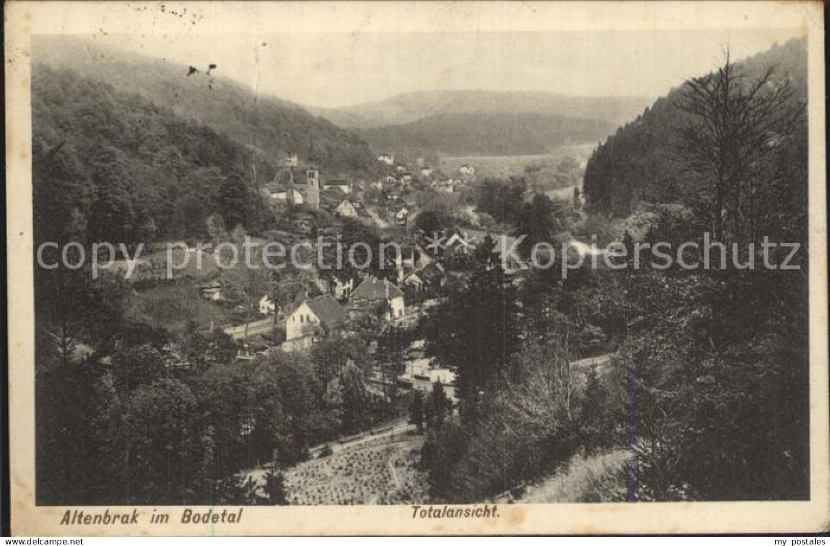 Altenbrak Harz Totalansicht