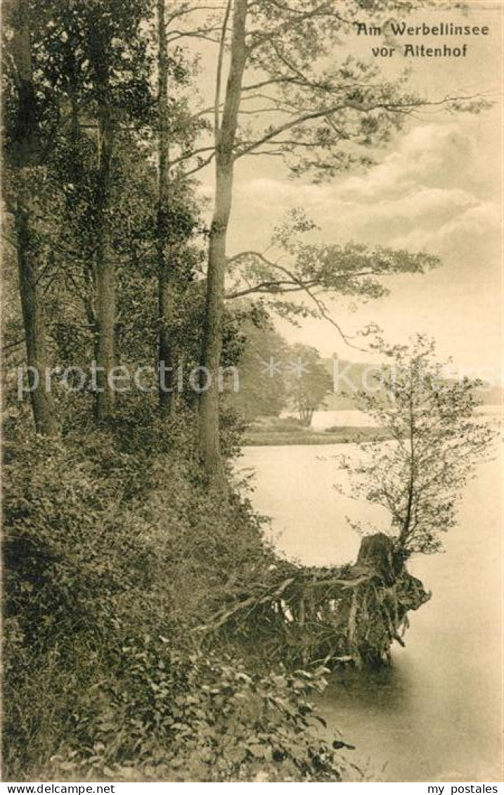 Altenhof Werbellinsee Seepanorama