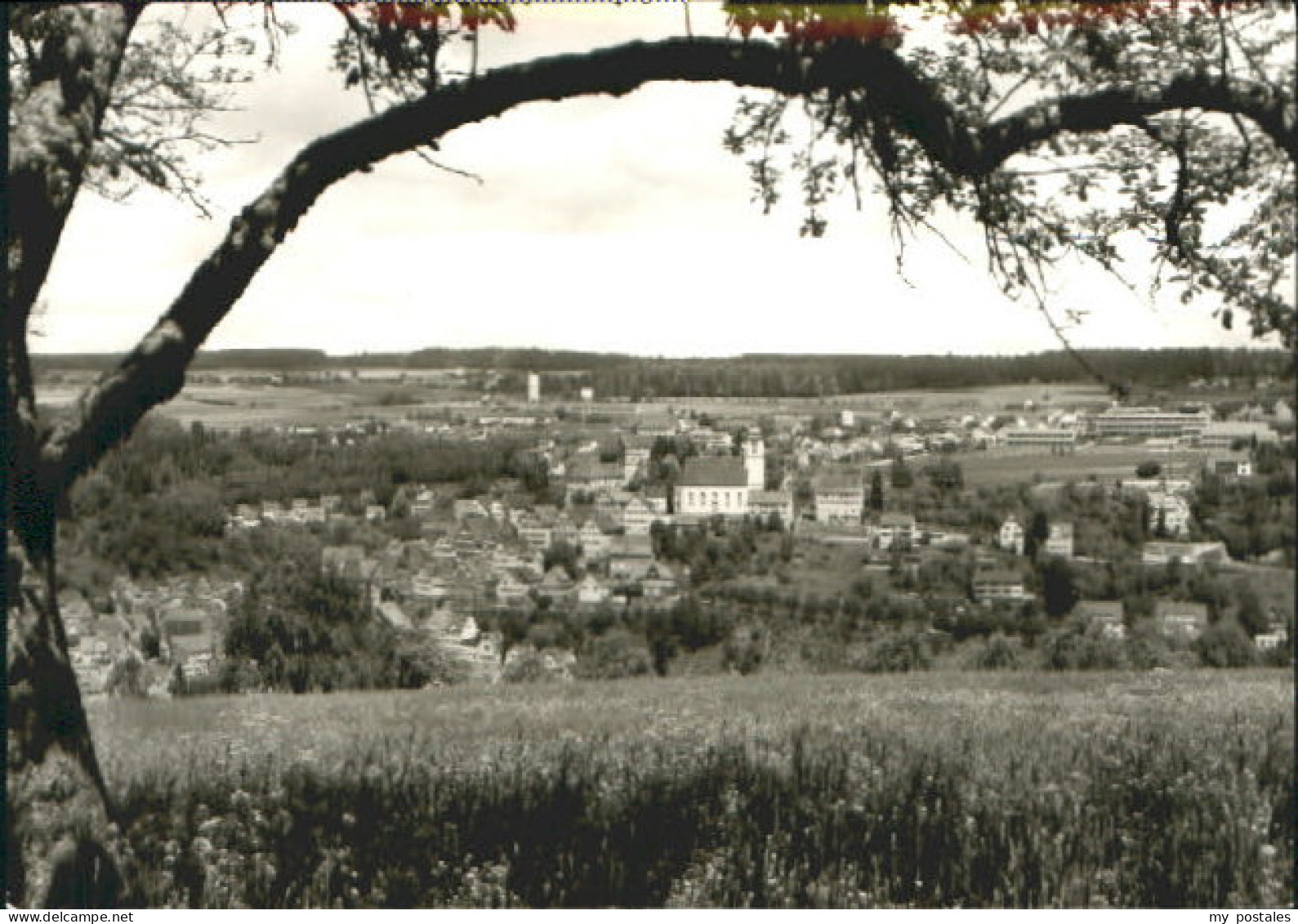 Altensteig Schwarzwald Altensteig Schwarzwald