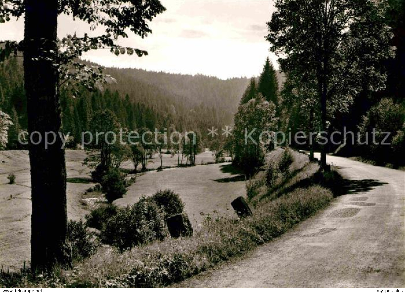 Altensteig Schwarzwald Nagoldtal