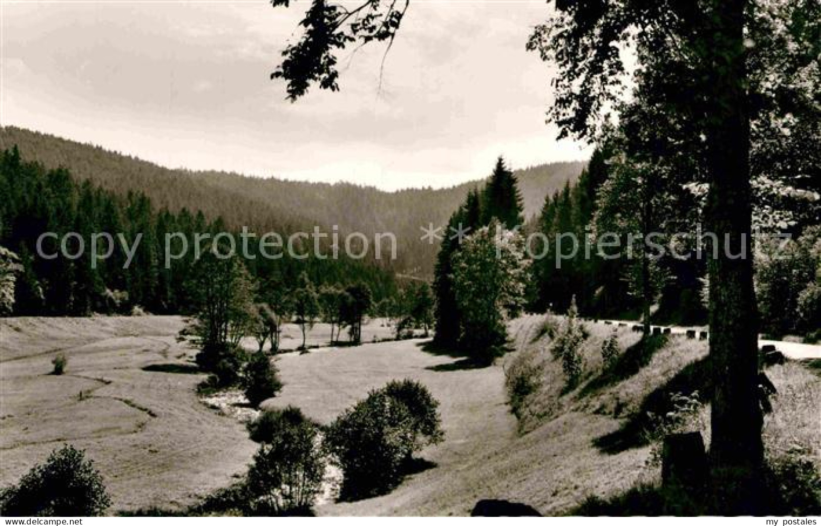 Altensteig Schwarzwald Nagoldtal