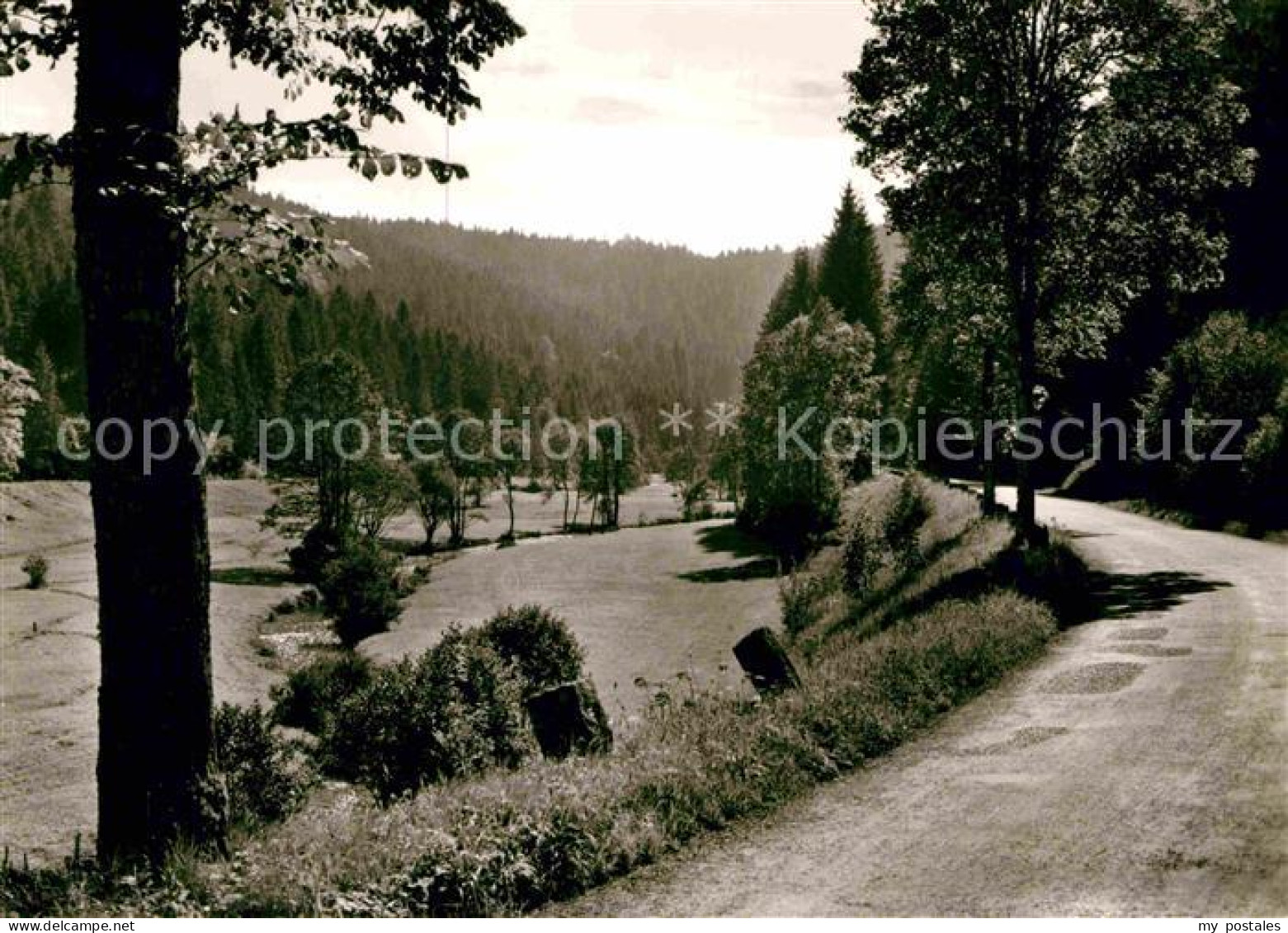Altensteig Schwarzwald Nagoldtal