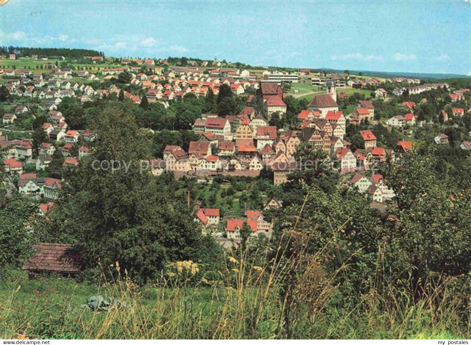 Altensteig Schwarzwald Panorama