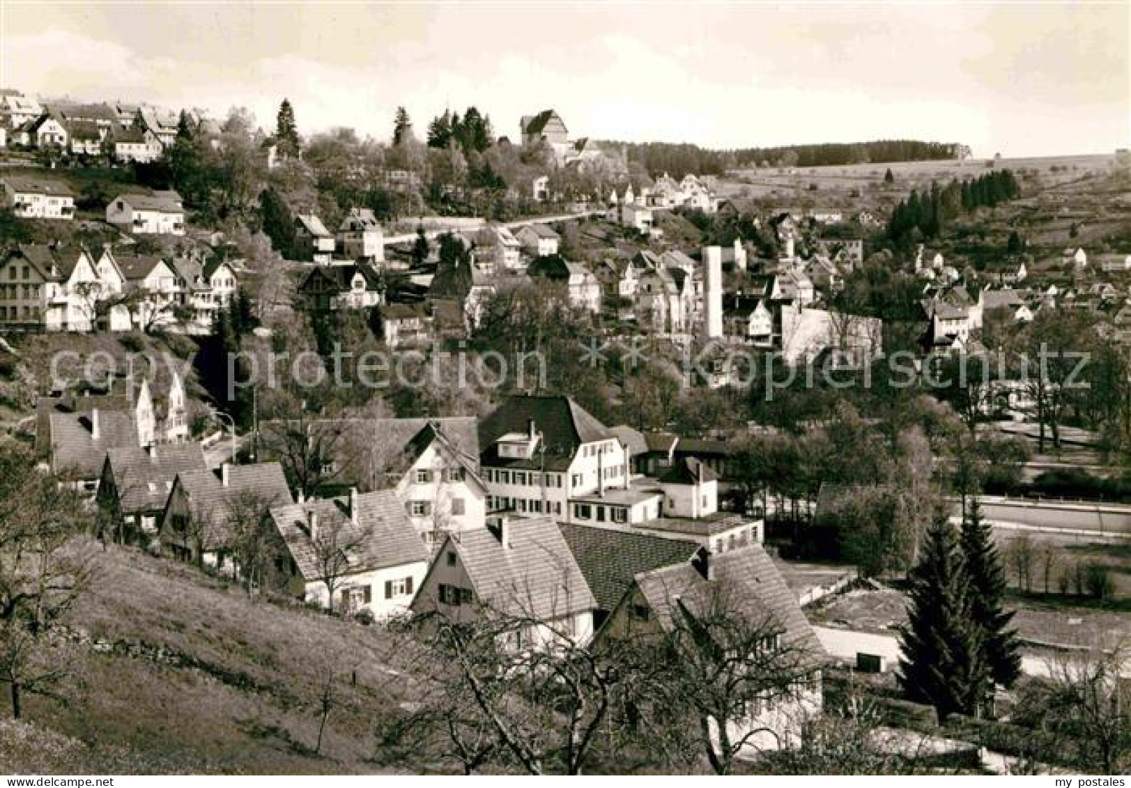 Altensteig Schwarzwald Panorama