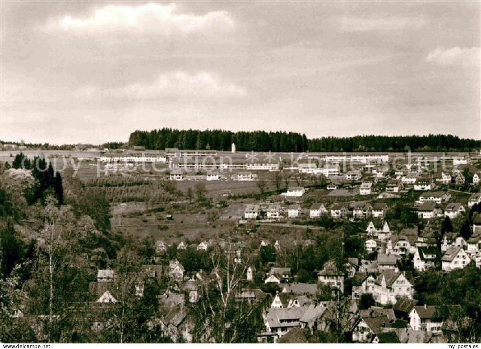 Altensteig Schwarzwald Panorama