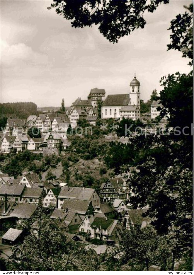 Altensteig Schwarzwald Panorama