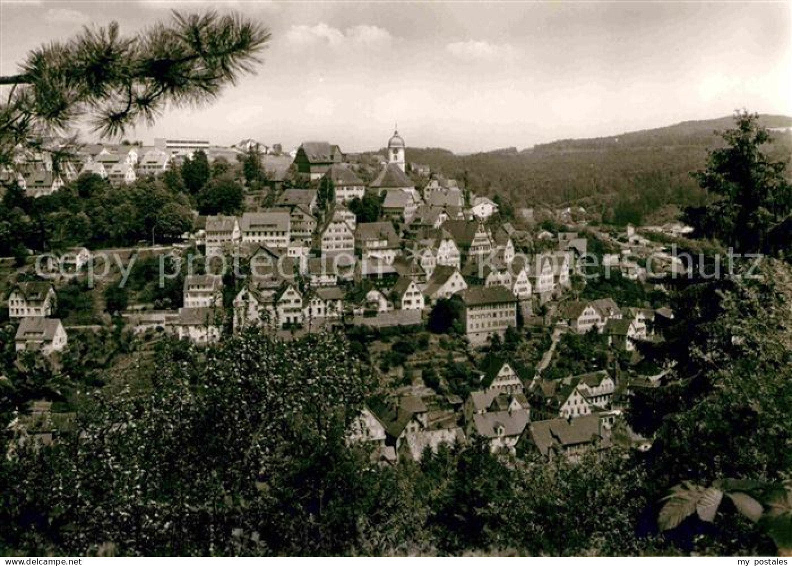 Altensteig Schwarzwald Panorama