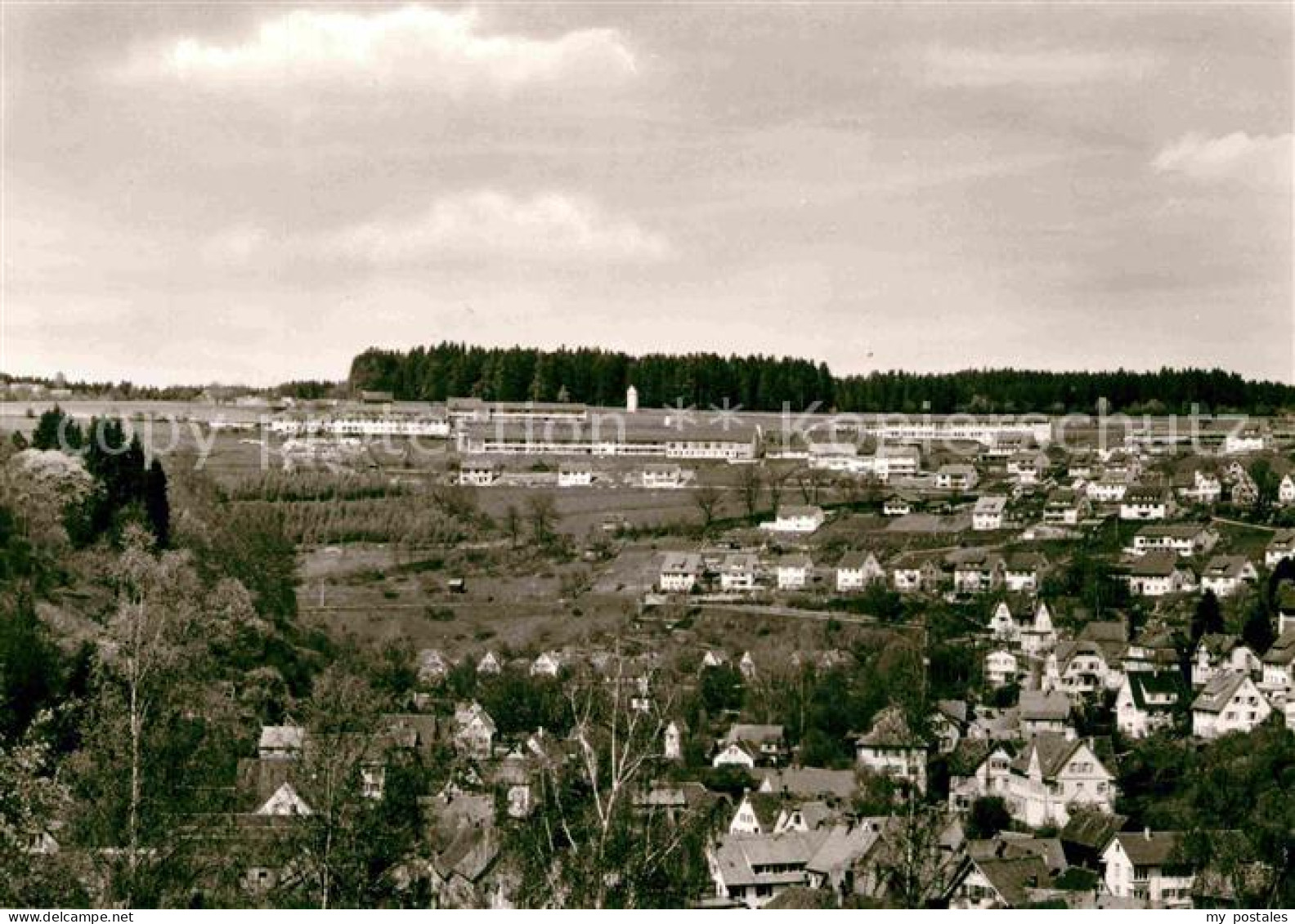 Altensteig Schwarzwald Panorama