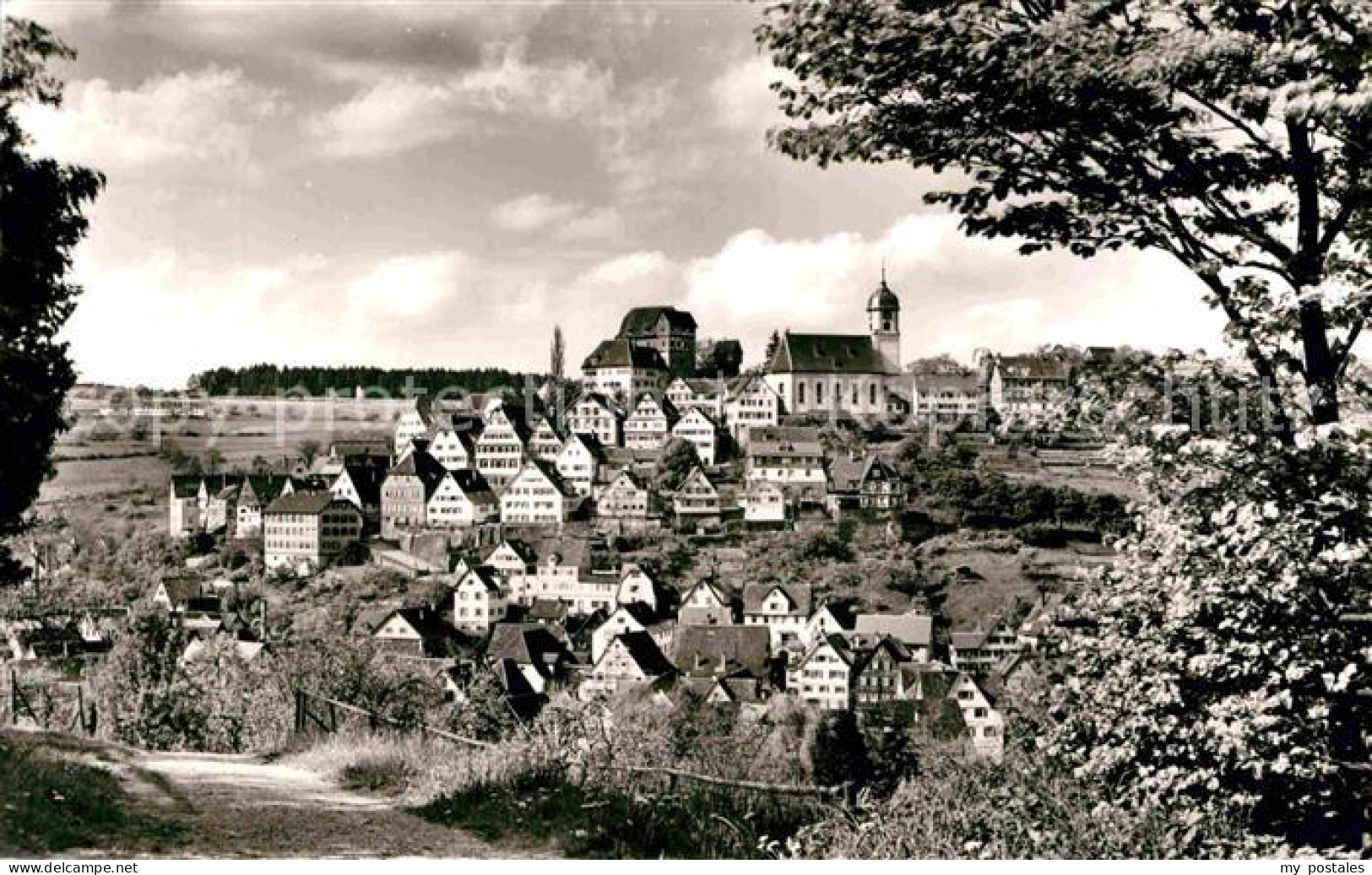 Altensteig Schwarzwald Panorama Kirche