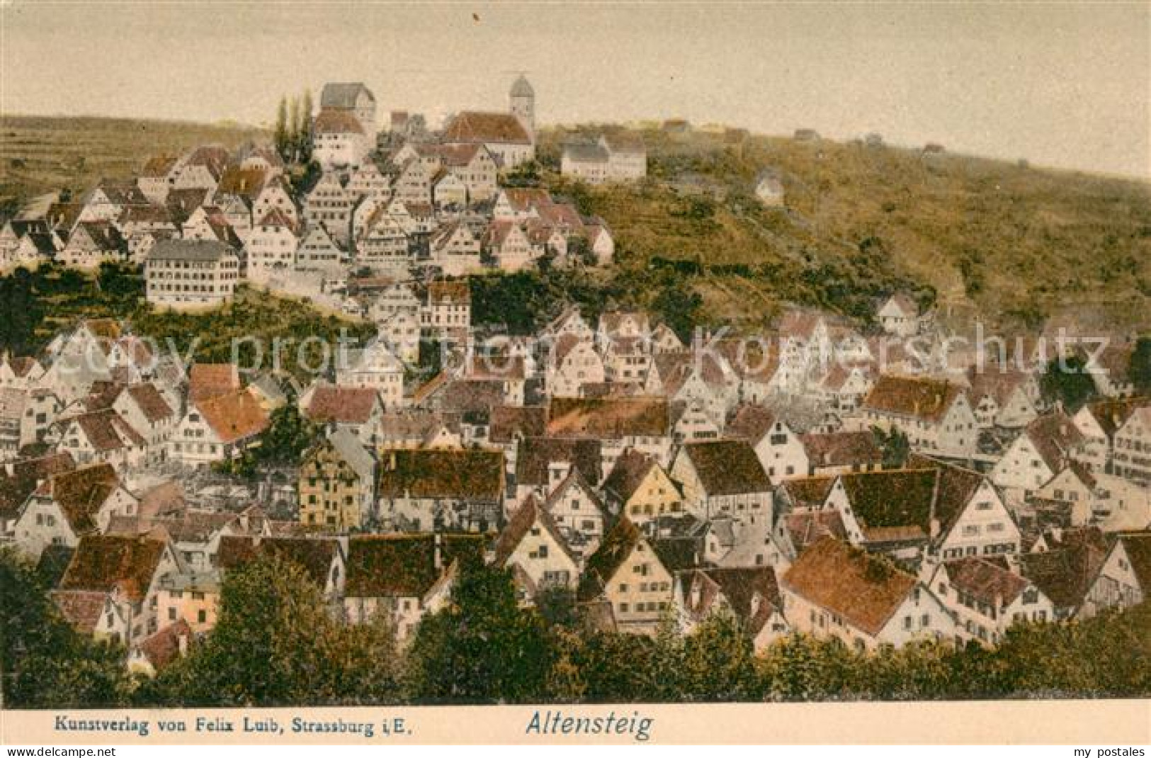 Altensteig Schwarzwald Stadtblick