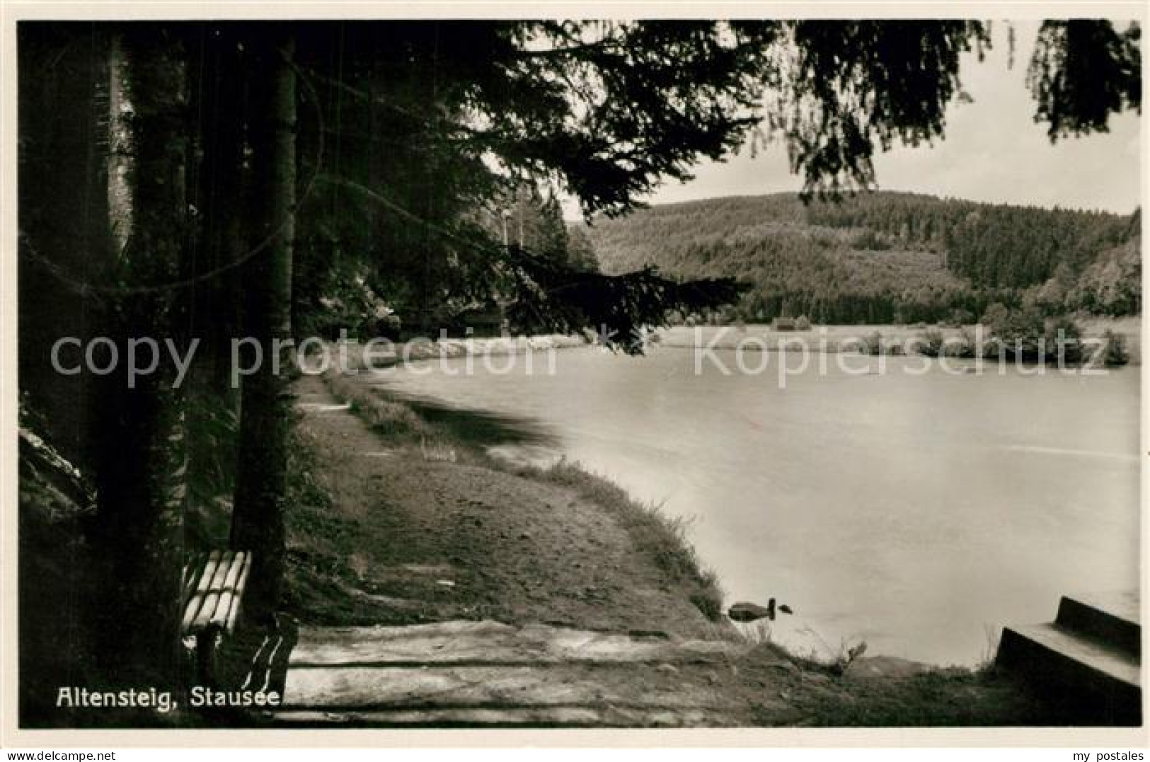 Altensteig Schwarzwald Stausee