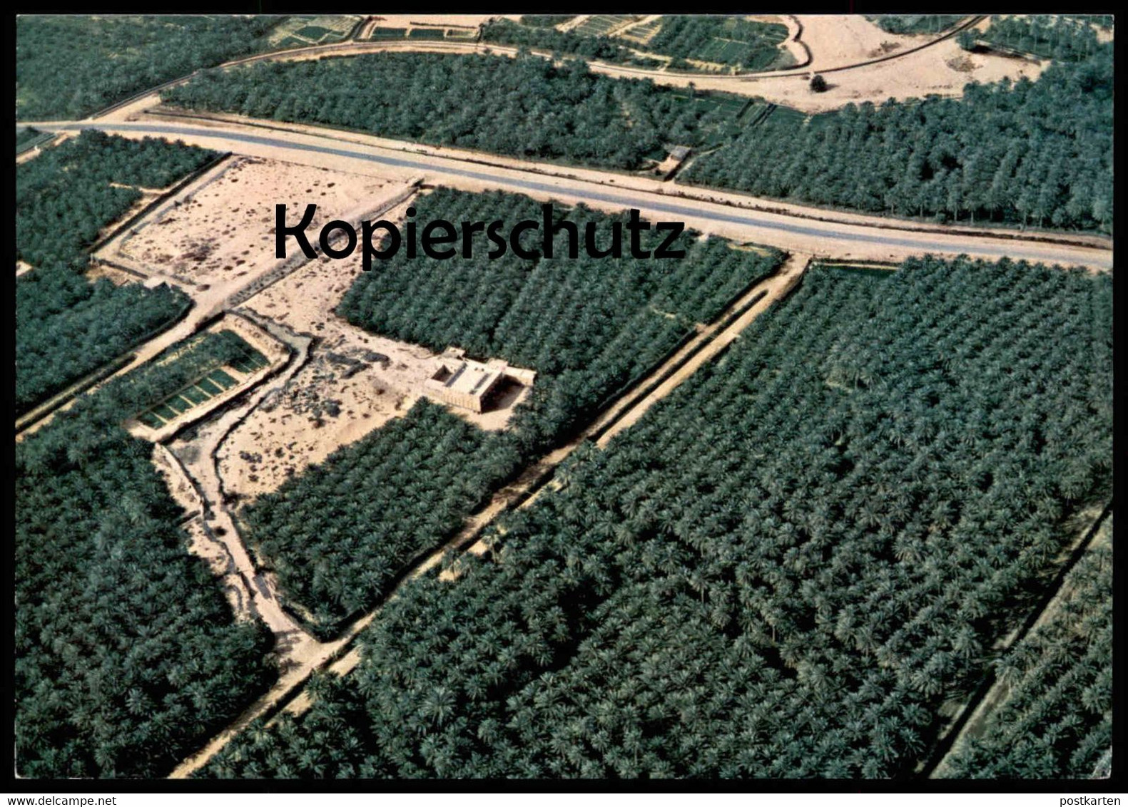 ÄLTERE POSTKARTE AL-HASA IRRIGATION PROJECT CULITVATED FIELDS Landwirtschaft Saudi Arabia Saudi Arabien postcard cpa AK