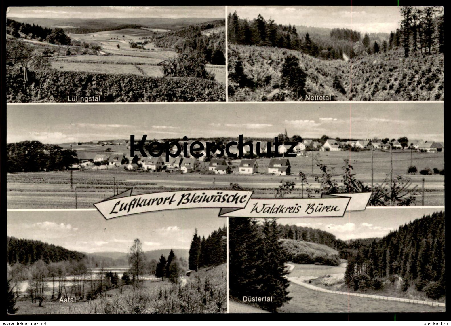 ÄLTERE POSTKARTE BLEIWÄSCHE WALDKREIS BÜREN NETTETAL AATAL DÜSTERTAL LÜLINGSTAL BAD WÜNNENBERG Ansichtskarte AK postcard