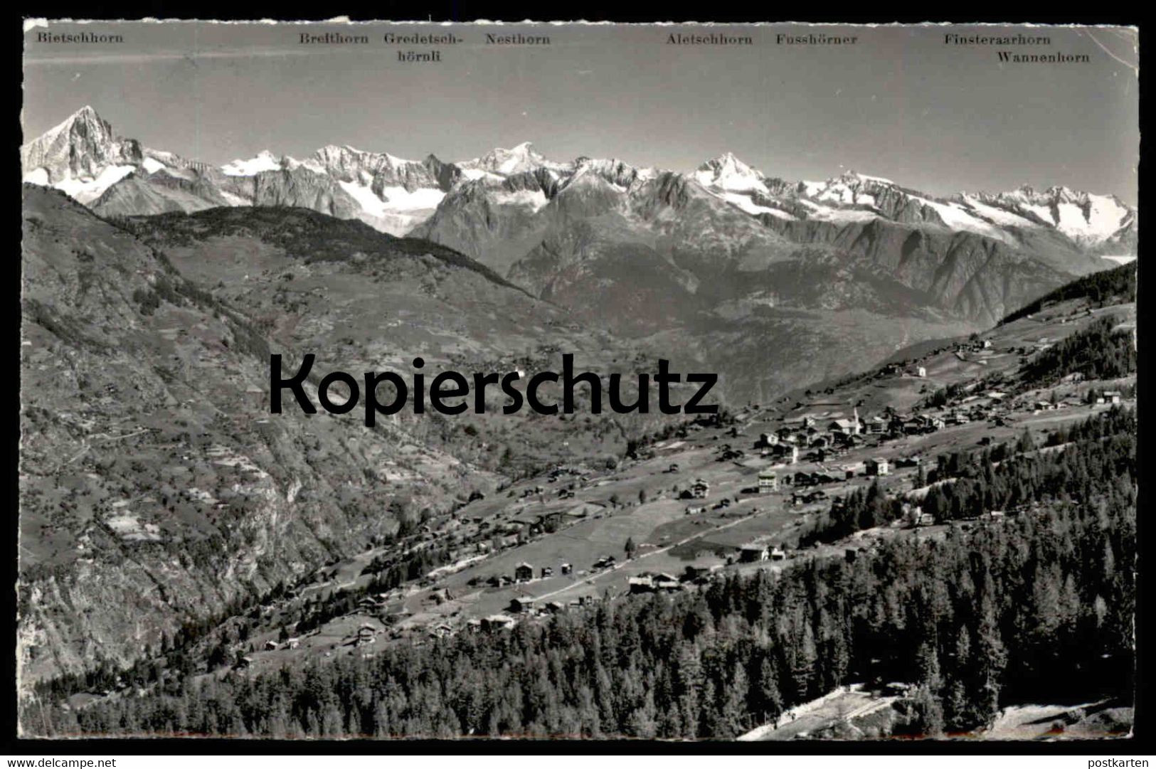 ÄLTERE POSTKARTE GRÄCHEN 1614 M MIT DEN BERNERALPEN Berner Alpen Breithorn Schweiz Suisse cpa AK Ansichtskarte postcard