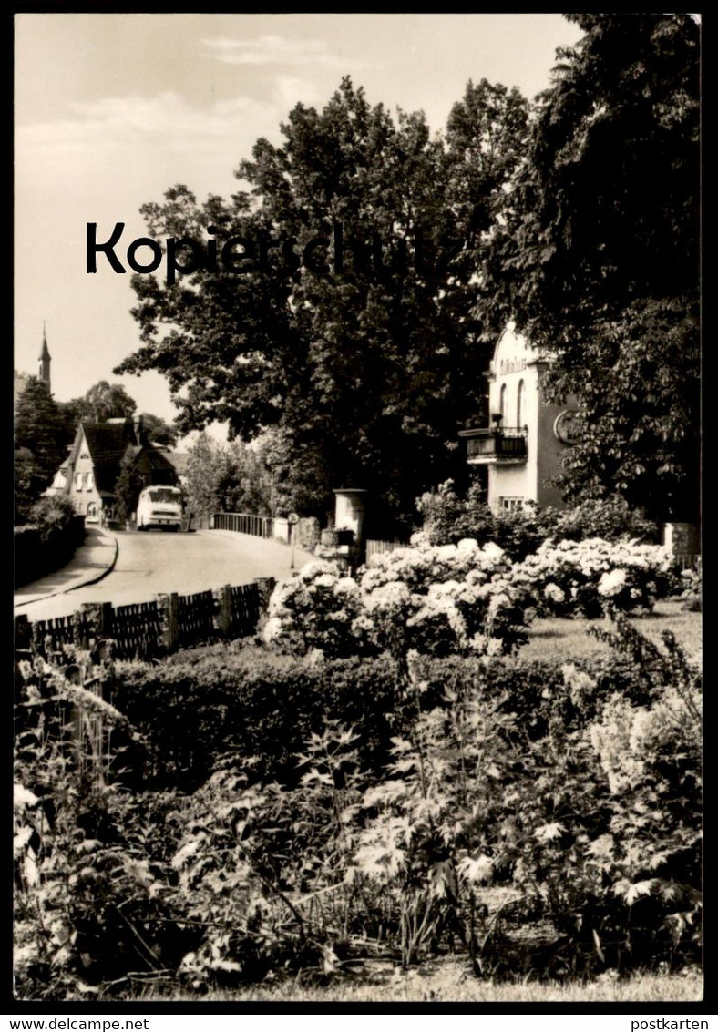 ÄLTERE POSTKARTE GRÜNHEIDE MARK KARL-MARX-STRASSE BUS OMNIBUS BLUMEN AK Ansichtskarte postcard cpa