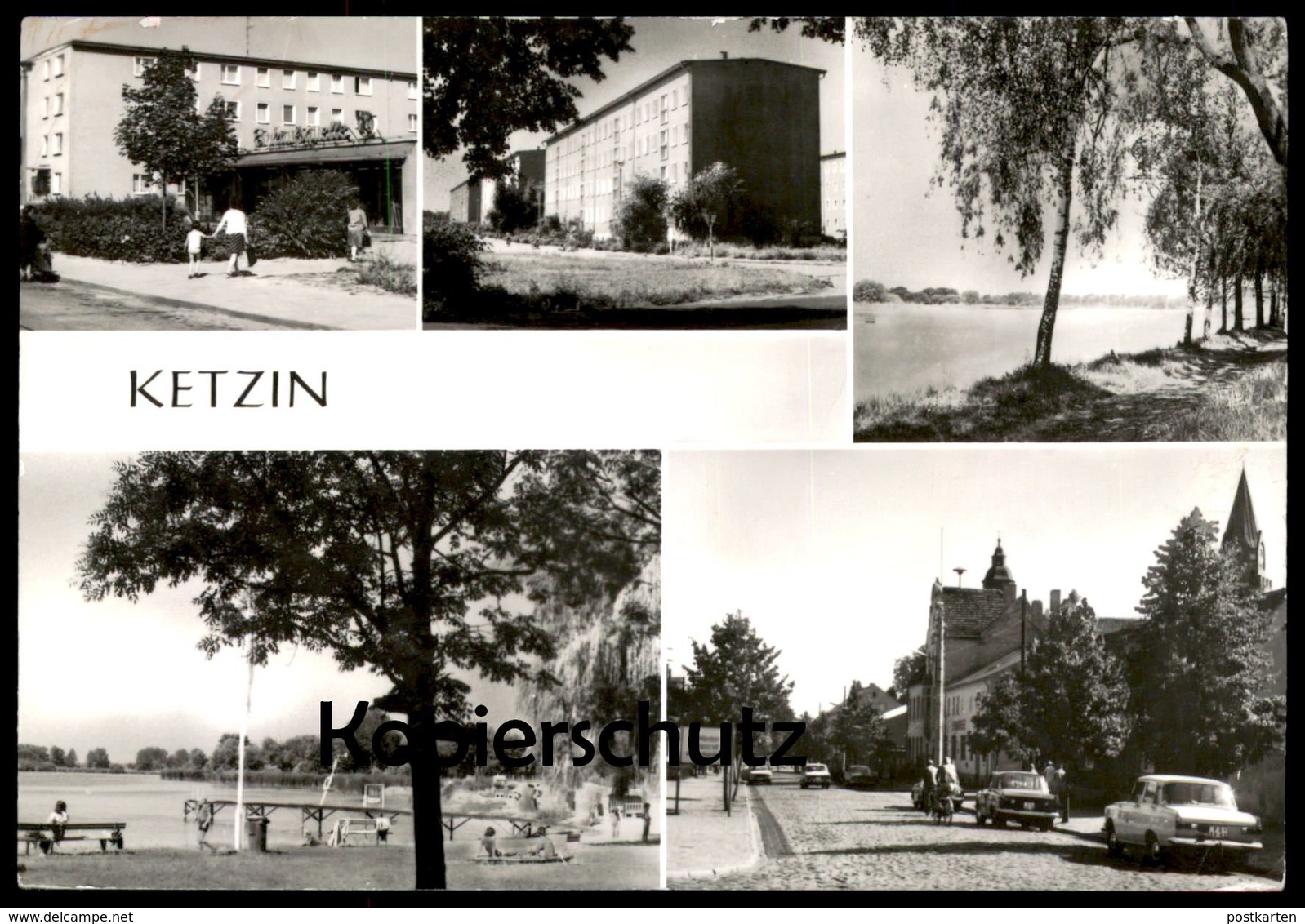 ÄLTERE POSTKARTE KETZIN KREIS NAUEN Briefmarke DDR Tillandsia bulbosa Bromelie Ansichtskarte postcard cpa AK