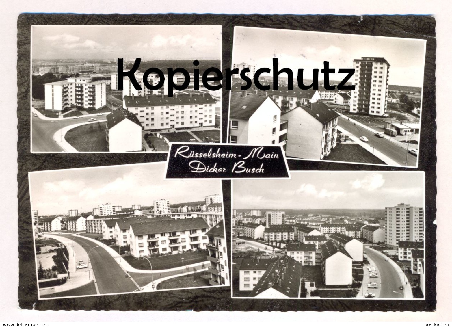 ÄLTERE POSTKARTE RÜSSELSHEIM MAIN DICKER BUSCH Ansichtskarte AK cpa postcard