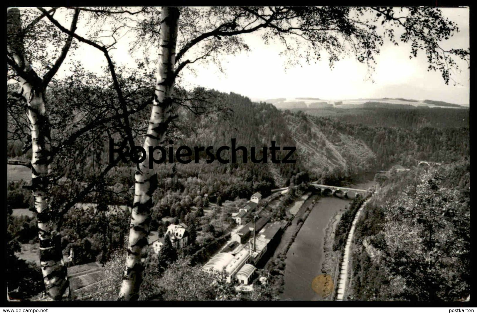 ÄLTERE POSTKARTE ZIEGENRÜCK SAALE AN DER FÄHRKLIPPE Klippe Thüringen cpa postcard AK Ansichtskarte