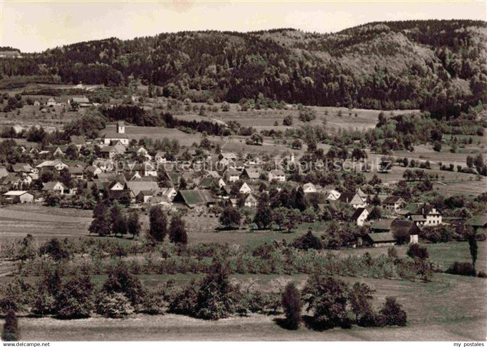 Altheim ueberlingen Bodenseekreis BW Panorama