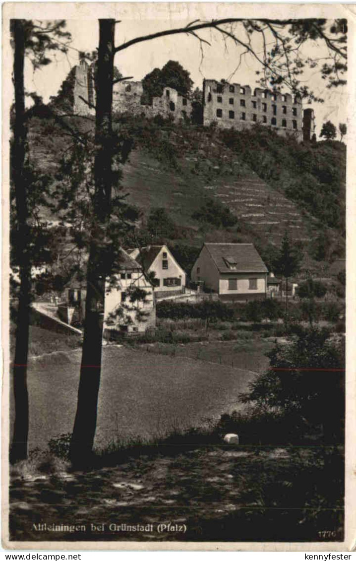 Altleiningen bei Grünstadt Pfalz