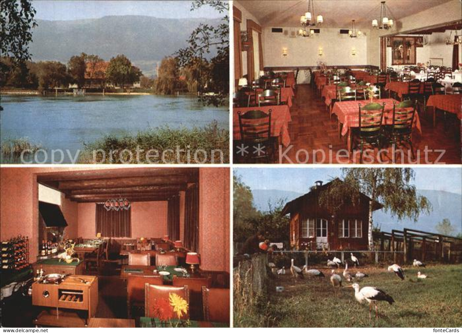 Altreu Selzach Gaststaette zum gruenen Affen Storchensiedlung See