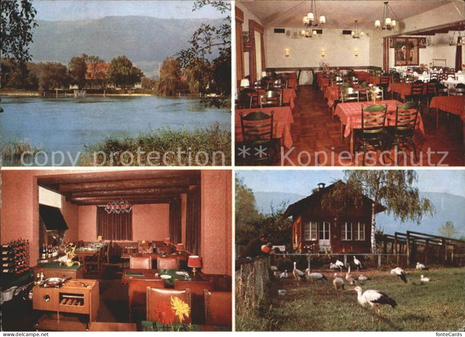 Altreu Selzach Wirtschaft zum Gruenen Affen Storchensiedlung