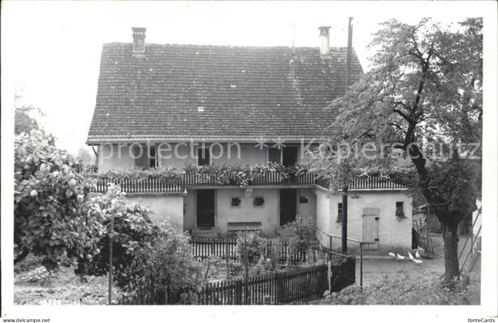 Altstetten Zuerich Haus