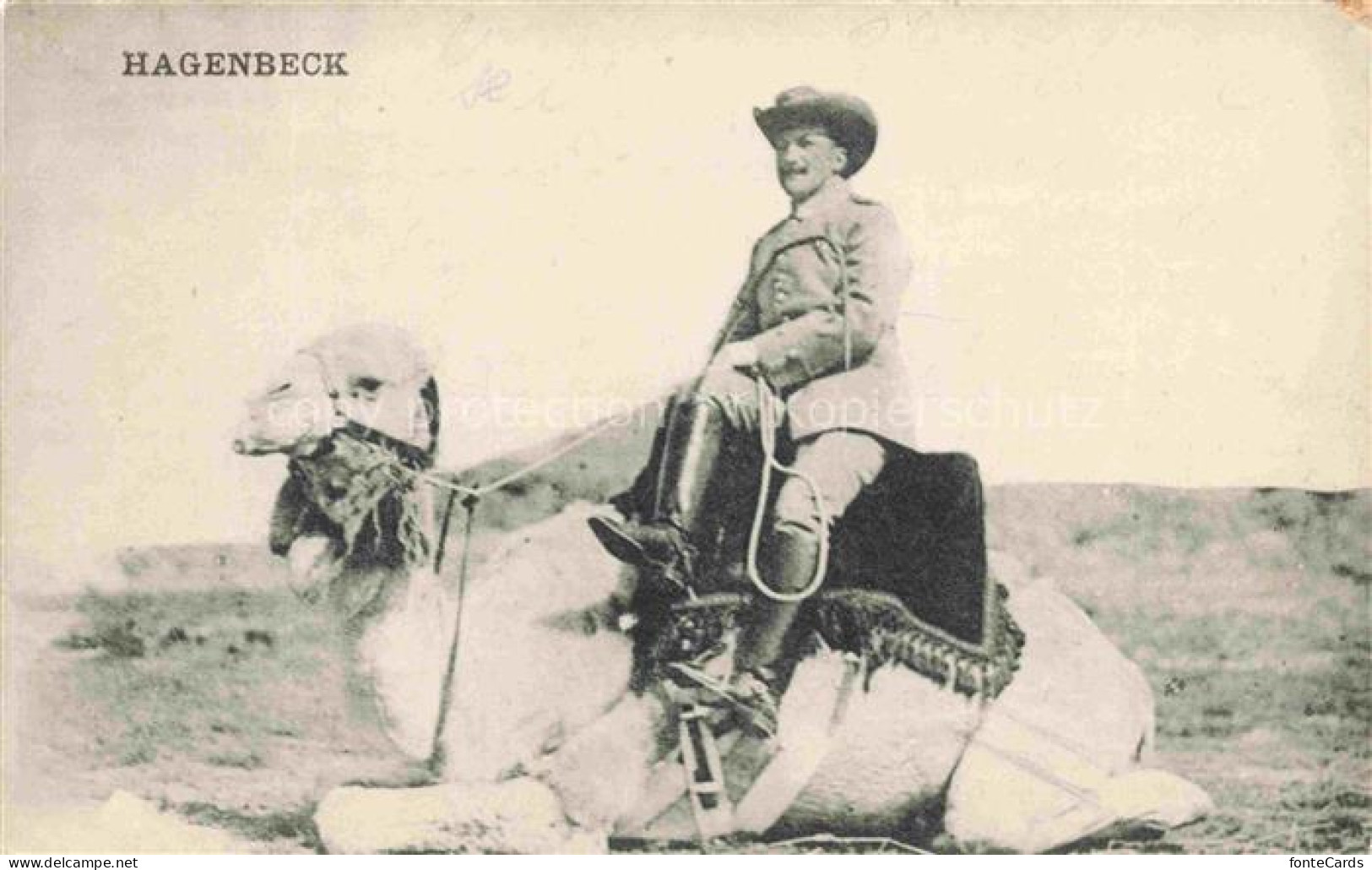 Altstetten  Zuerich ZH Hagenbeck-Schau Kamel Kamelreiter Zirkus Tierschau Cowboy