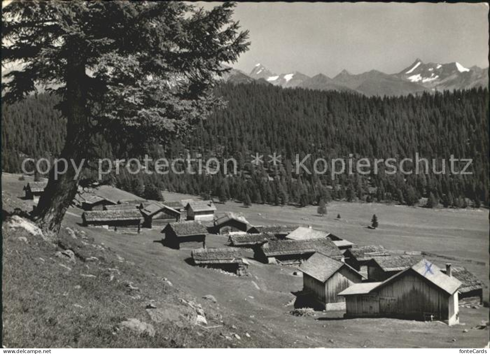 Alvaneu Dorf mir Piz Kesch