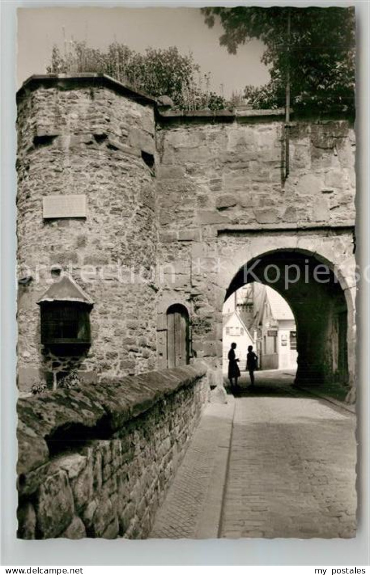 Alzey Schloss