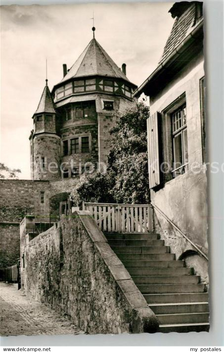 Alzey Schloss