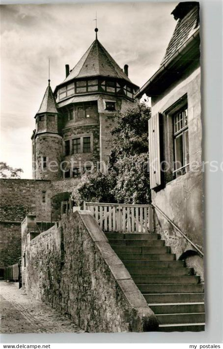 Alzey Schloss