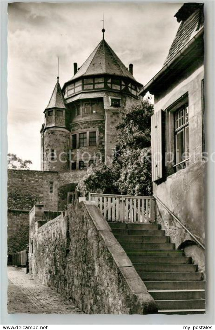 Alzey Schloss