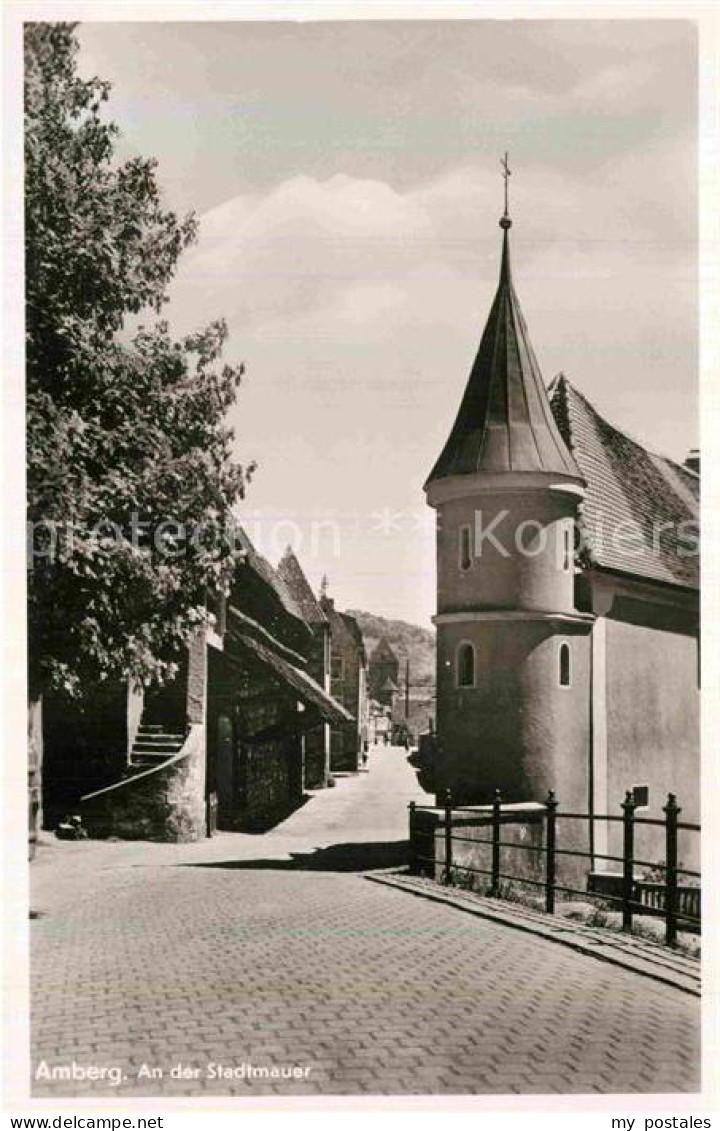 Amberg Oberpfalz Stadtmauer