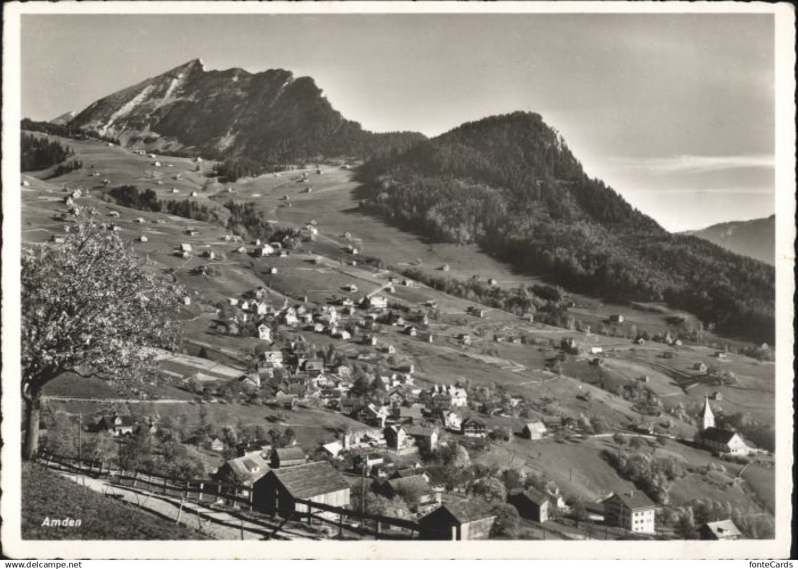 Amden SG Amden