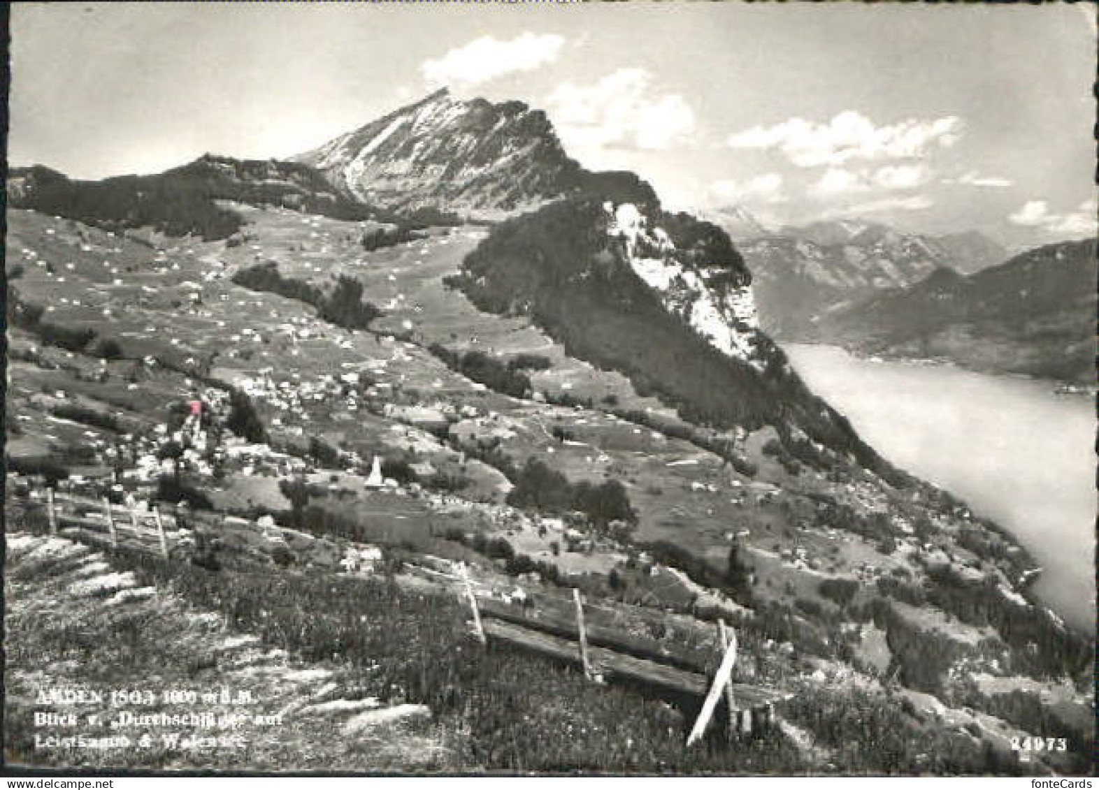 Amden SG Amden  x 1953