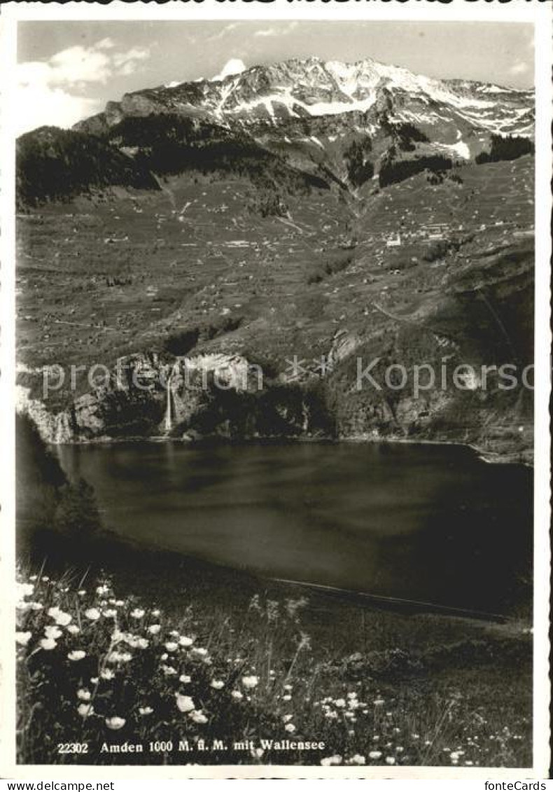 Amden Walensee SG mit Walensee Alpenflora