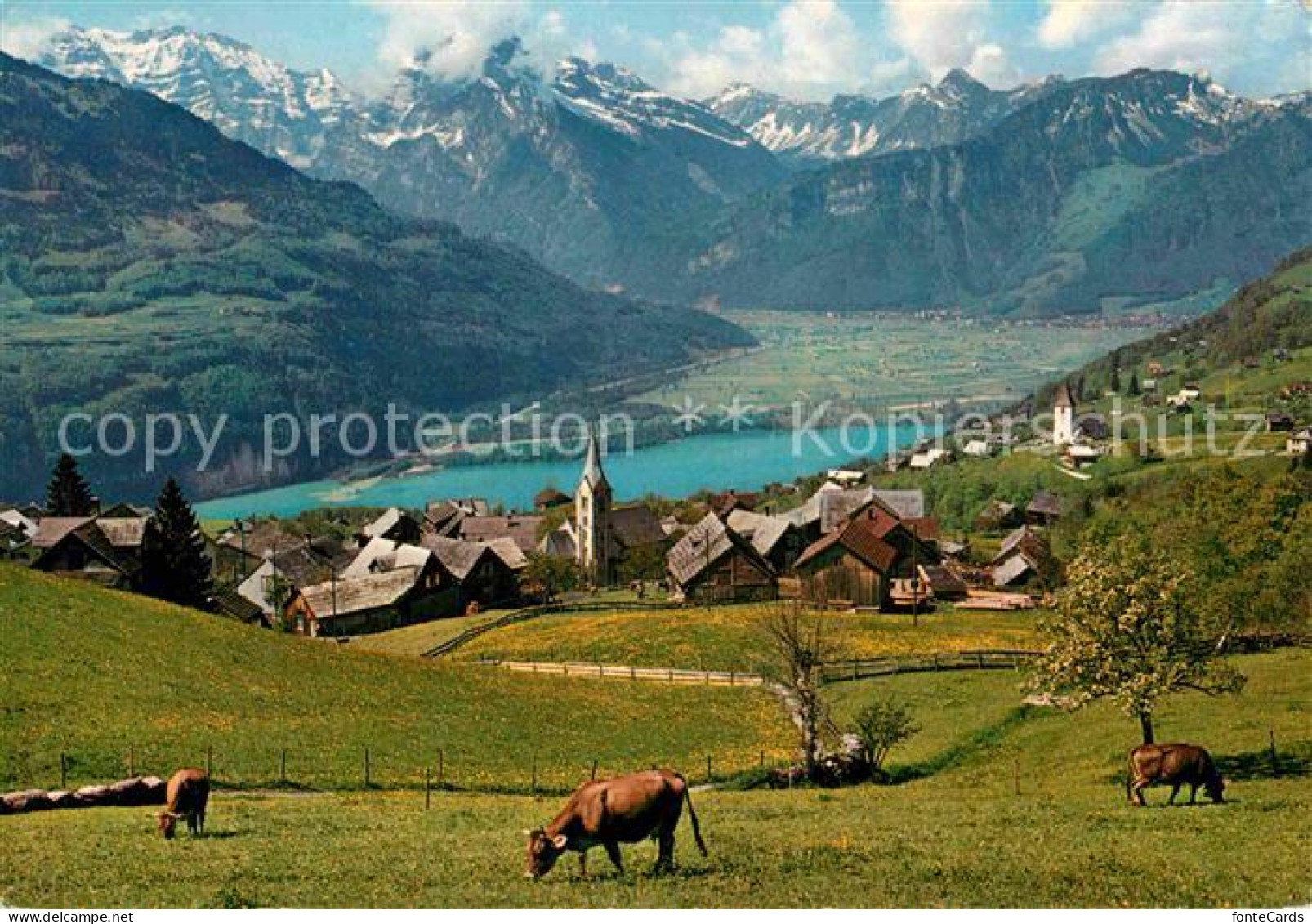 Amden Walensee SG Walensee Glaernisch