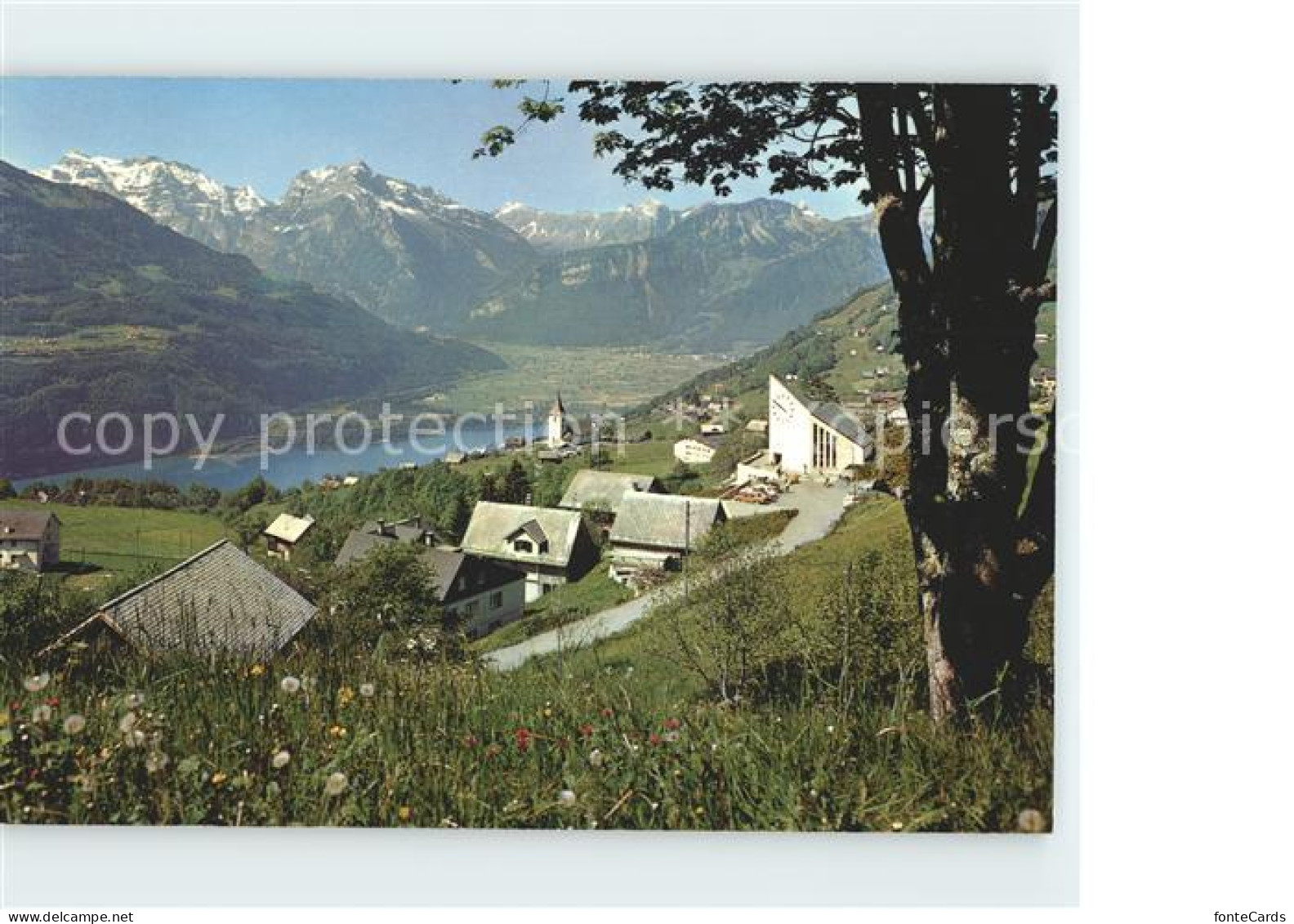Amden Walensee SG Walensee Glarneralpen