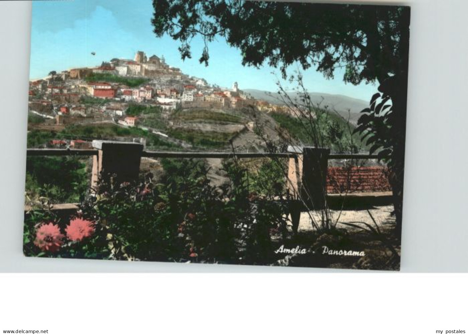 Amelia Umbria