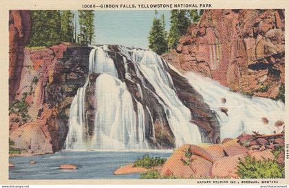 Yellowstone Nat.Park, GibbonFalls ngl #E8668