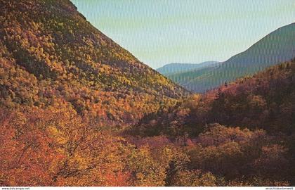 Crawford Notch, White Mountains, New Hampshire ngl #D9255
