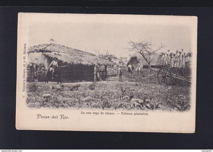 Kuba Cuba AK Pinar del Rio