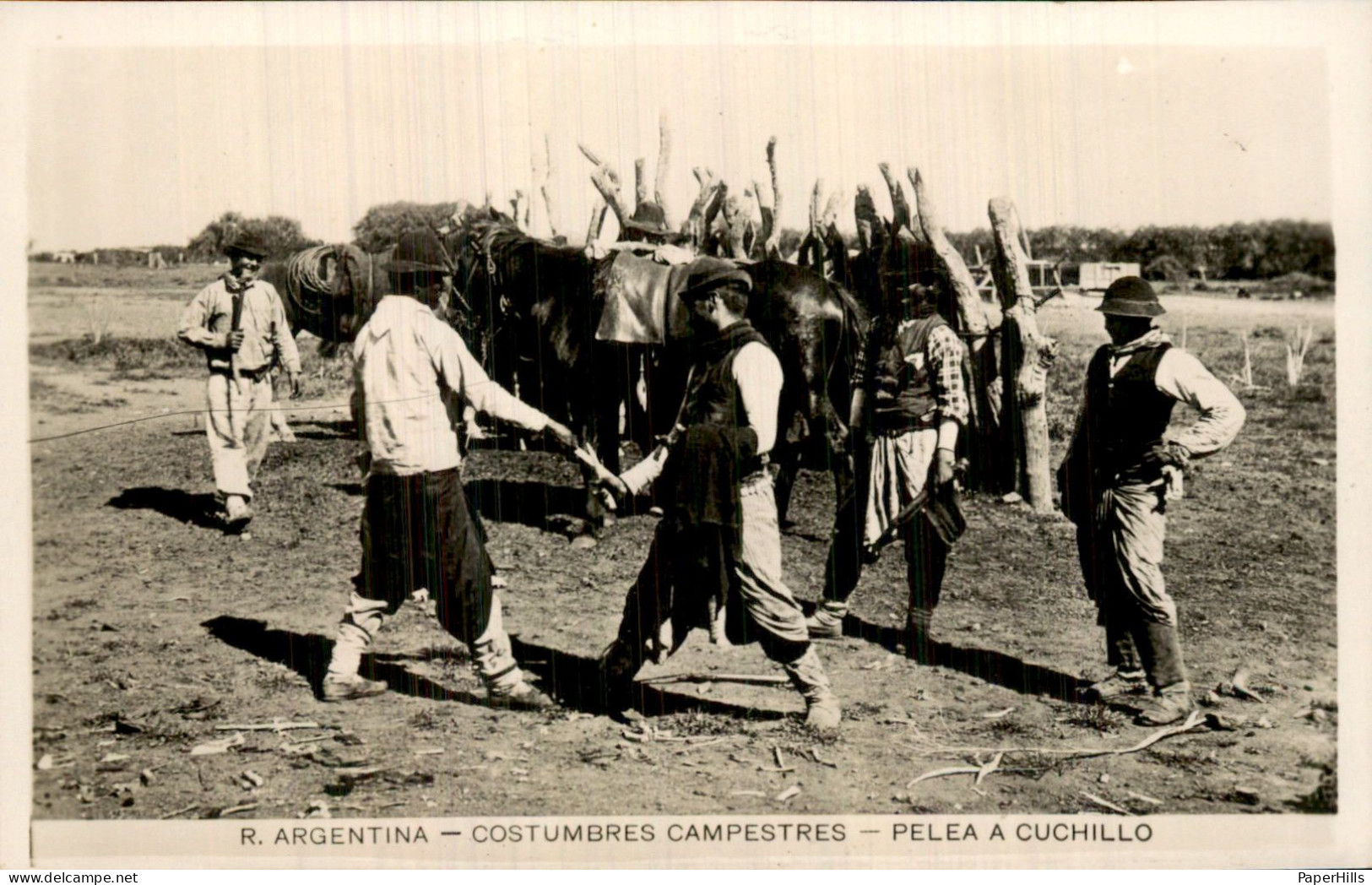 Amerika - Argentinië Argentina - Campestres